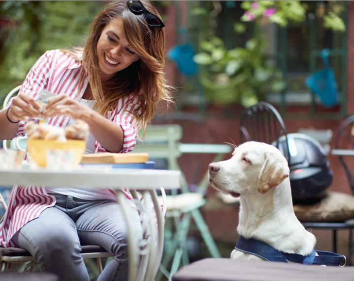 Location de chalet pour maitre avec chien