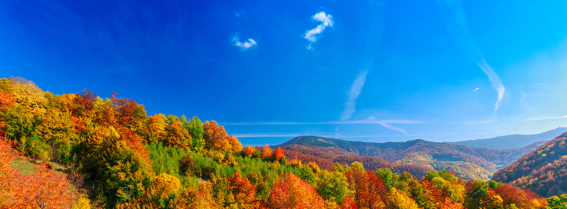 Vue panoramique sur des montagnes boisées avec des couleurs automnales vibrantes sous un ciel bleu clair, idéal pour une escapade dans un chalet à louer à Charlevoix.