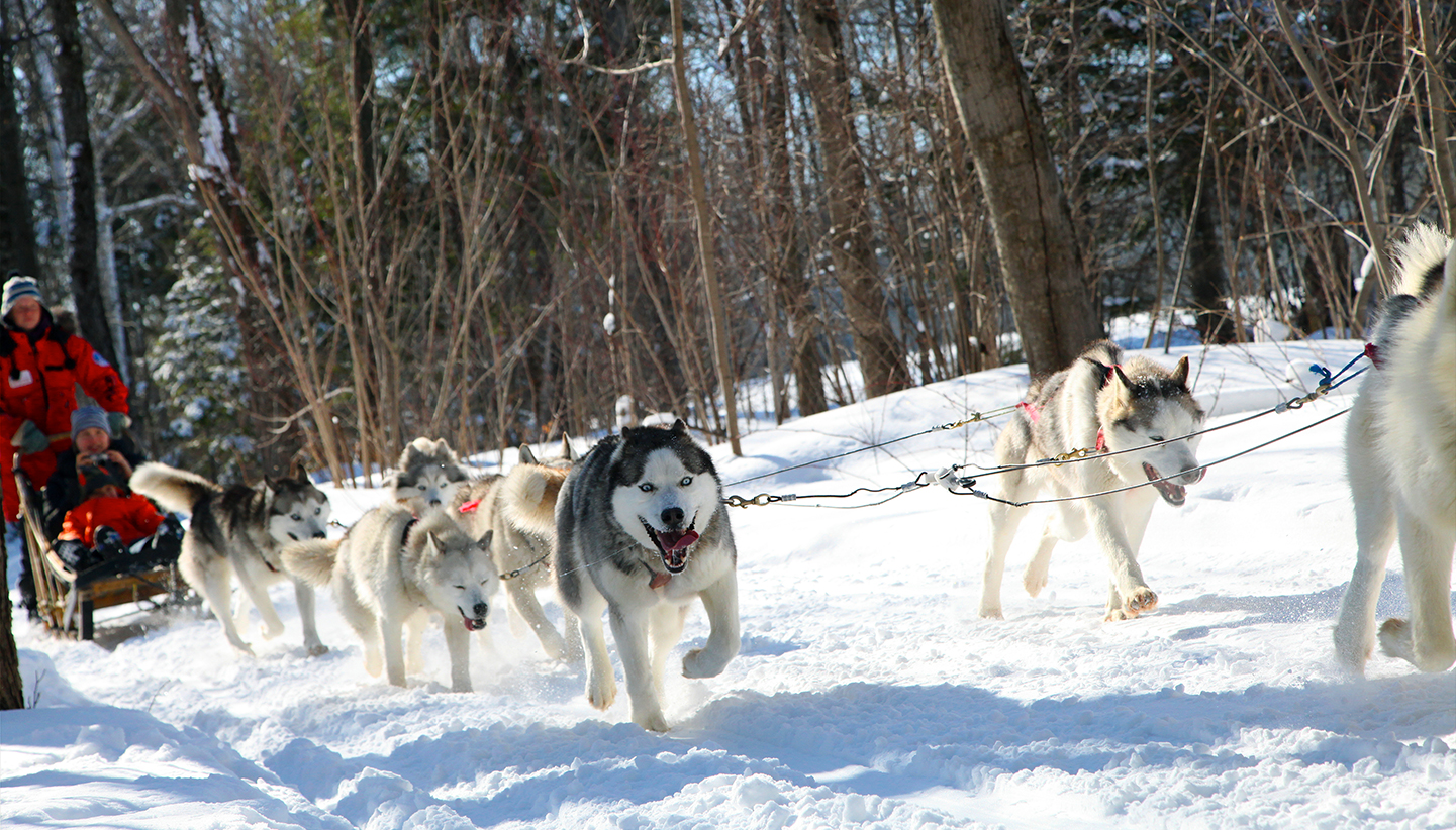 Région chalets prestige Charlevoix