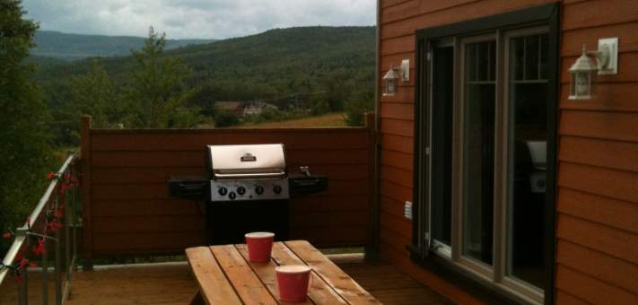  - Cottage for rent Charlevoix