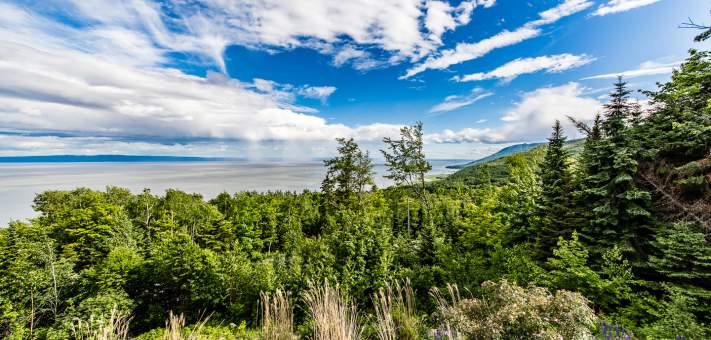 Vew - Cottage for rent Charlevoix