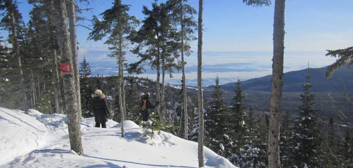  - Cottage for rent Charlevoix