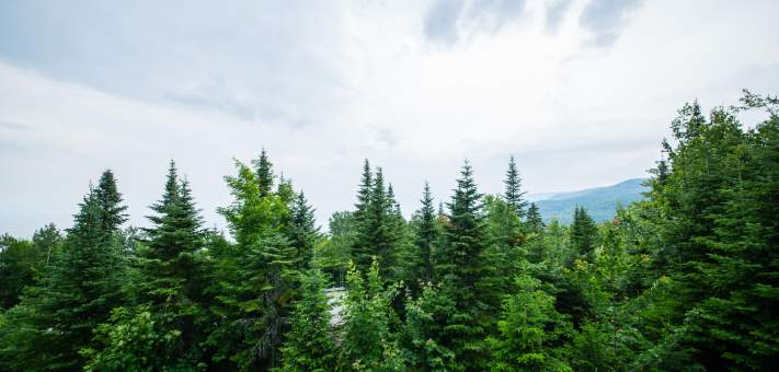 Vew - Cottage for rent Charlevoix