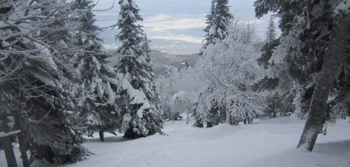 Piste La Dominique Maltais ( Massif) - Cottage for rent Charlevoix