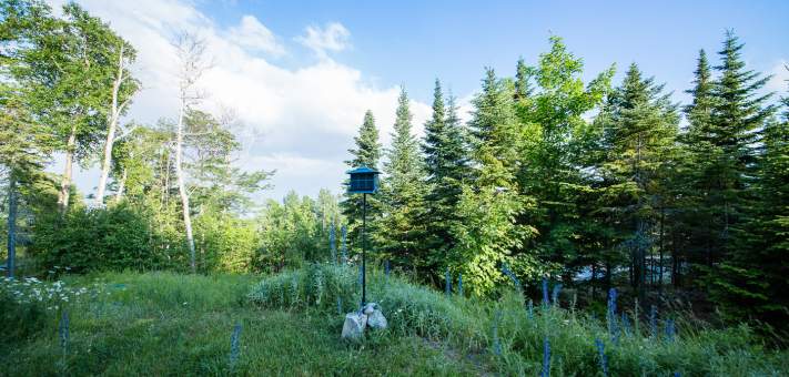 Garden with bird feeder - Cottage for rent Charlevoix