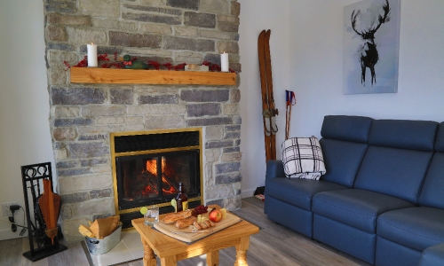 Living Room - Cottage for rent Charlevoix
