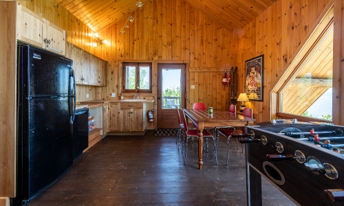 Le Scandinave - Salle séjour avec équipements additionnels pour bien recevoir les familles et groupes d'amis - Chalet à louer Charlevoix