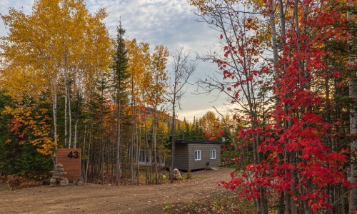 L'automne s'invite au chalet  - Chalet à louer Charlevoix