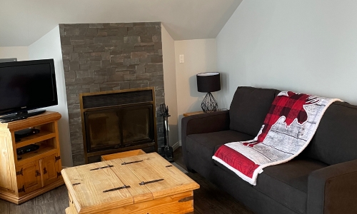 Salon loft - Chalet à louer Charlevoix