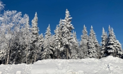 Out for skiing in the magic of Charlevoix area ! only 15 mn away from the chalet .